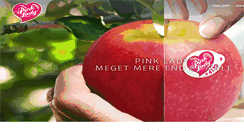 Desktop Screenshot of aeble-pinklady.com
